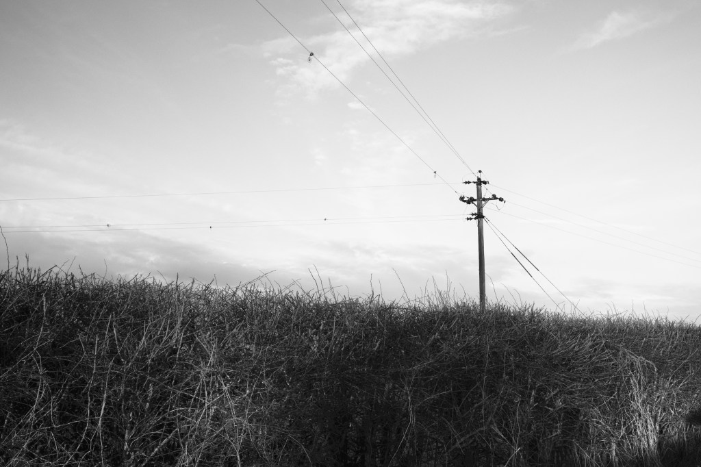 Wires, Fotheringham 2024