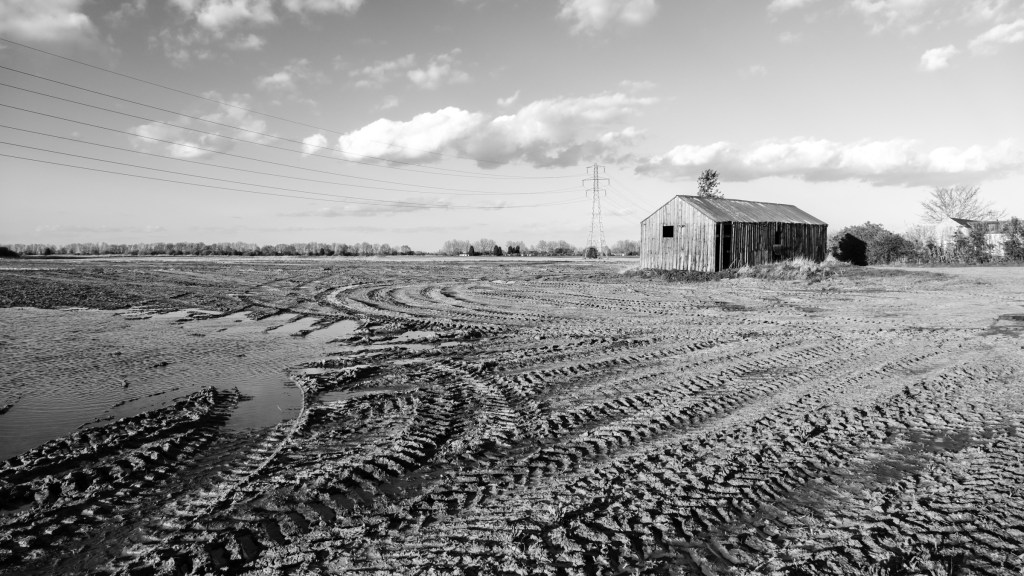 Fenland: Update. April 7th, 2024. 