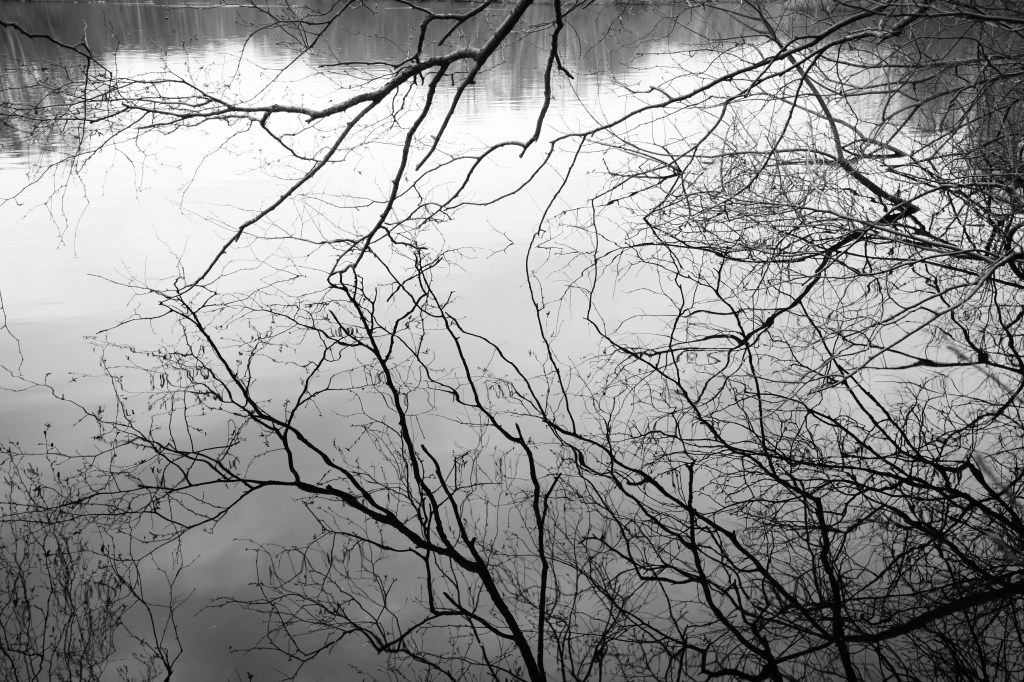 Lake in the woods by William Austin-Lobley